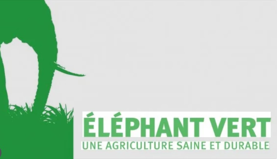 Elephant Vert
